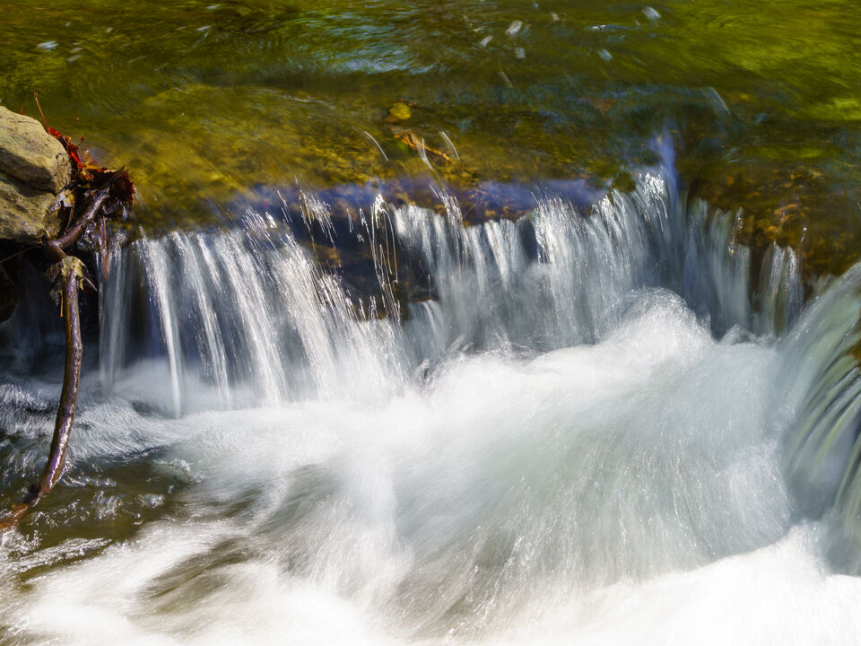 Flowing Currents At Tanyard Creek