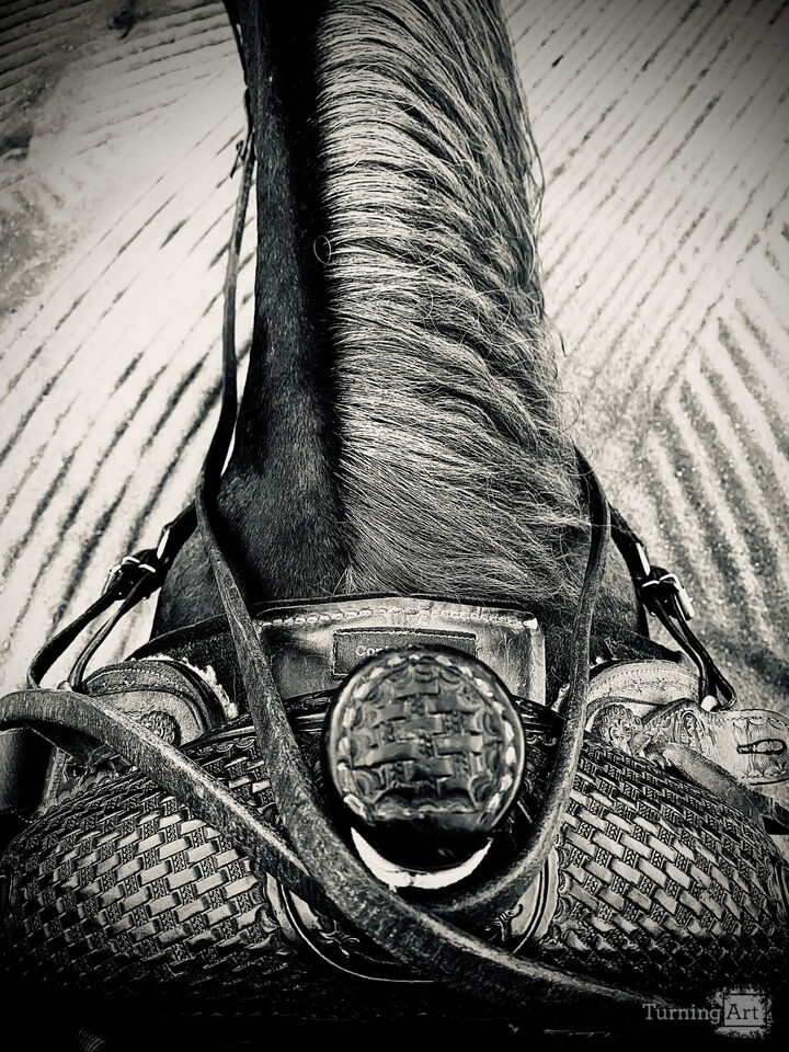 Saddle View