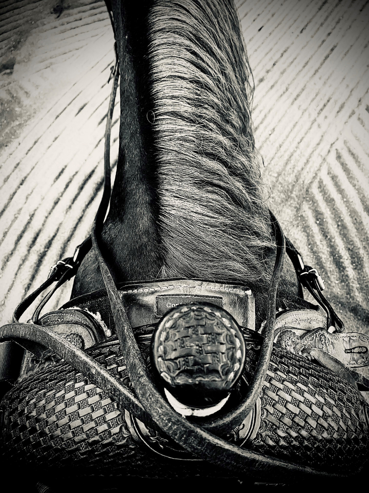 Saddle View
