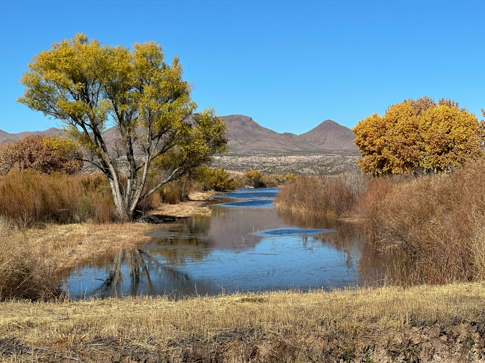 Autumn morning Bosque del Apache