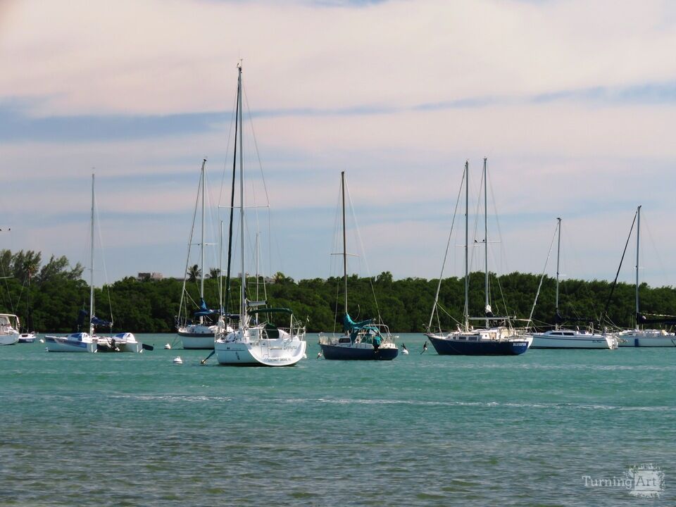 Biscayne Bay Sailboats