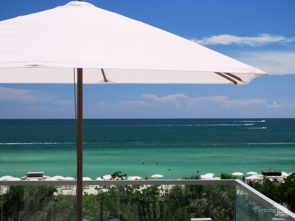South Beach Shade