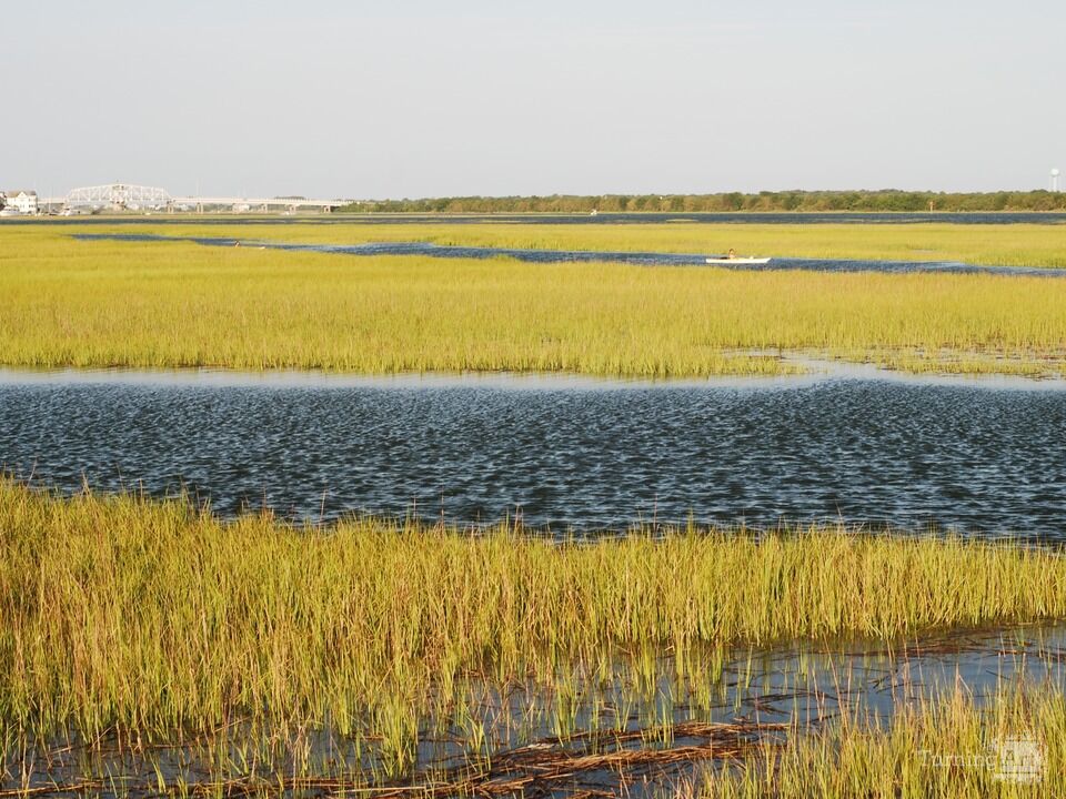 Sullivan's Island Backwater, 2 of 2