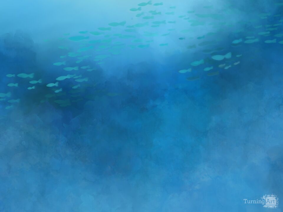 Under the Sea