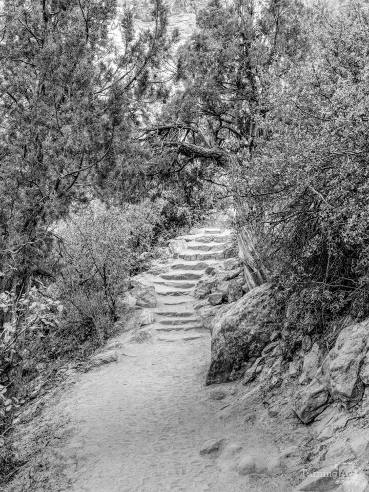 Steps To Zion Cliffs Grayscale