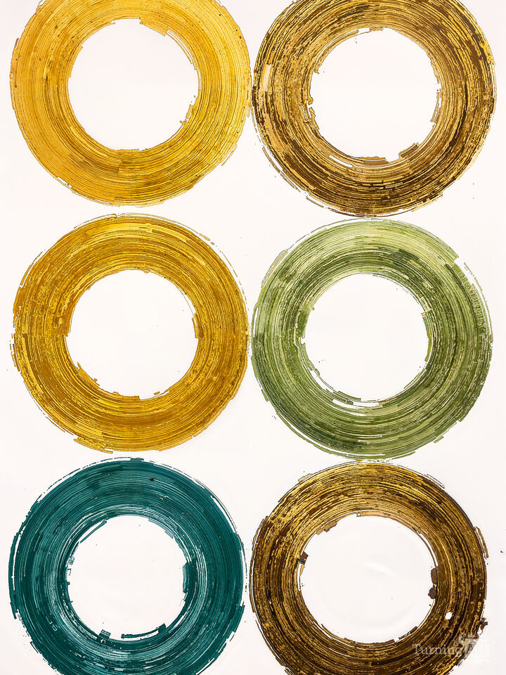 Colorful Circular Patterns Of The Universe