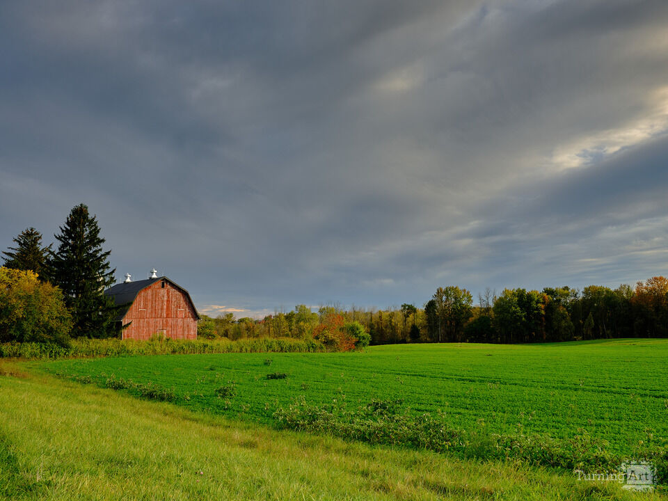 Fertile farmland near Lake Ontario NY