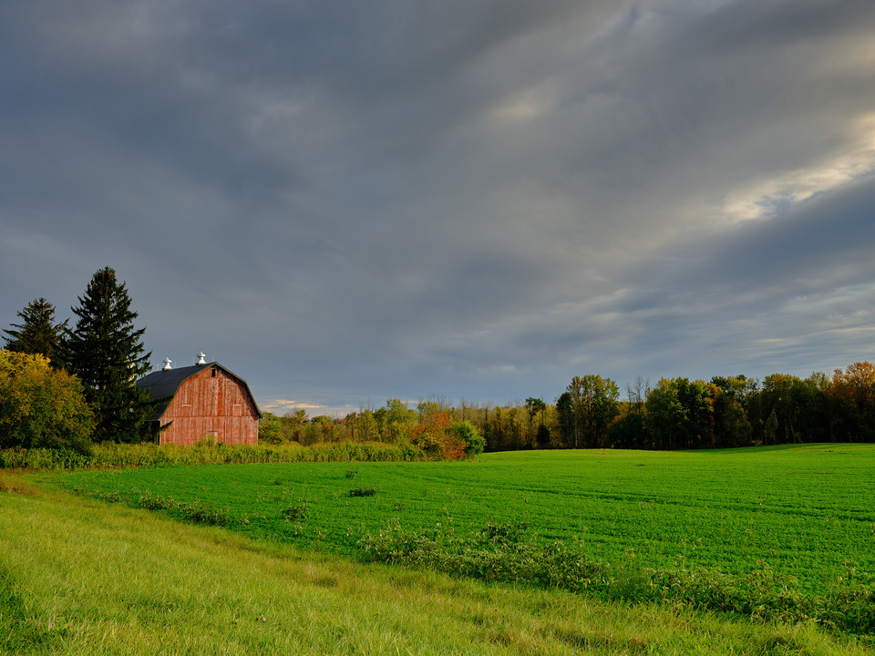 Fertile farmland near Lake Ontario NY