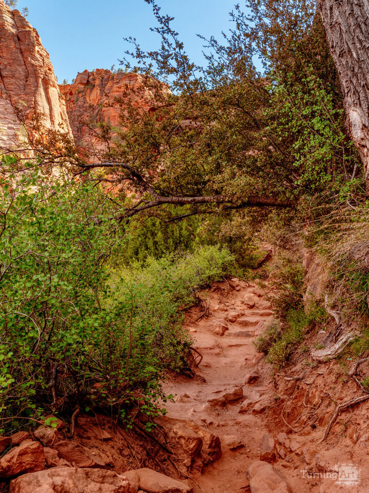 Rocky Trail To Zion Canyon Overlook