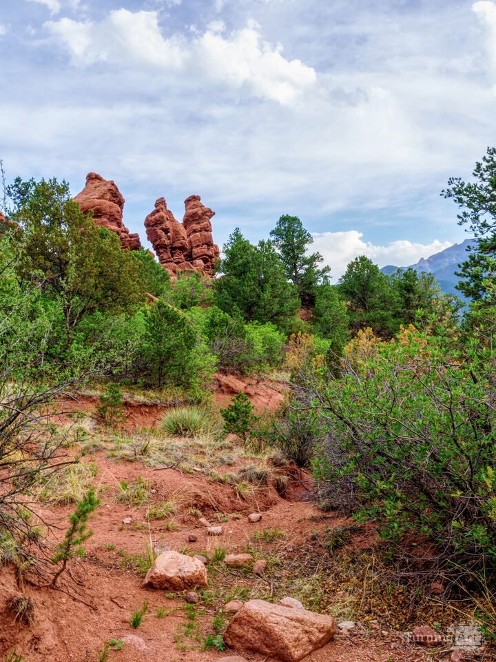 Backside Of Siamese Twins Colorado Vertical