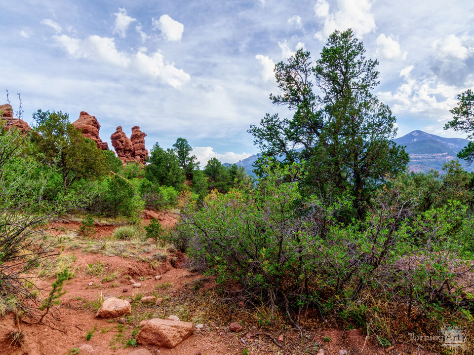 Backside Of Siamese Twins Colorado