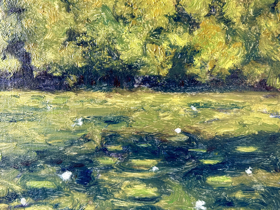 Cosmos Among the Lily Pads