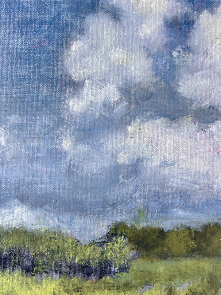 Steel Blue Over Sumac