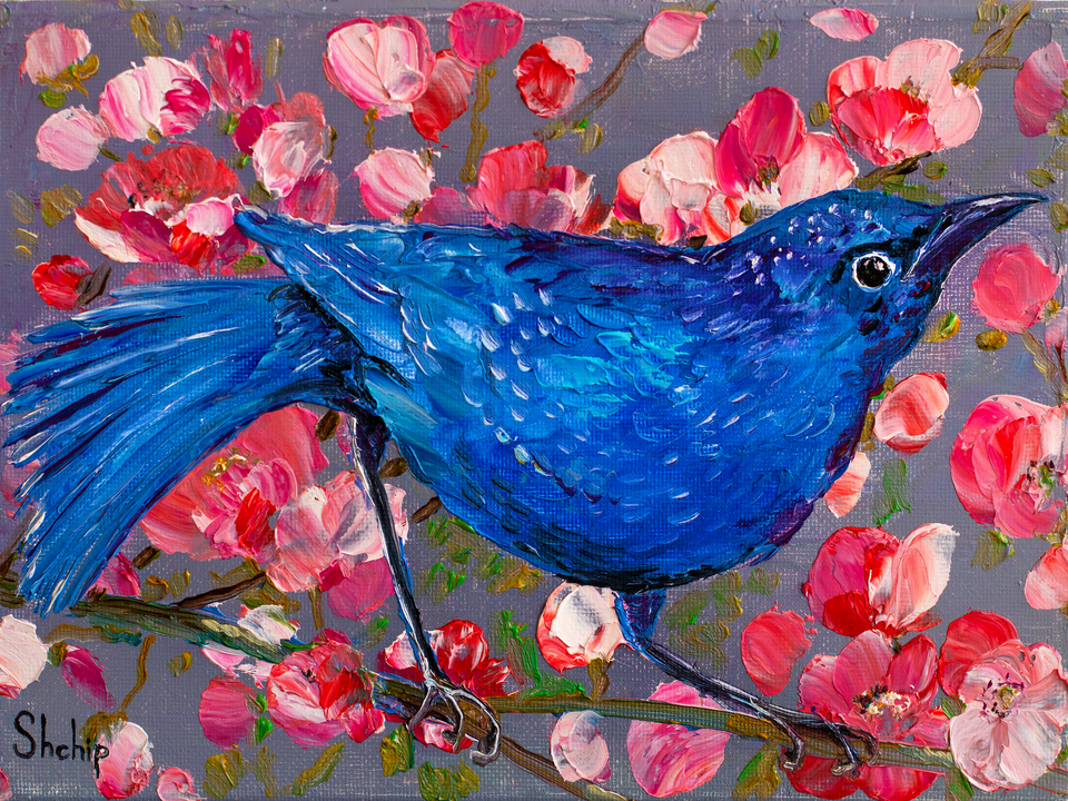 Blue Bird on Sakura Branch