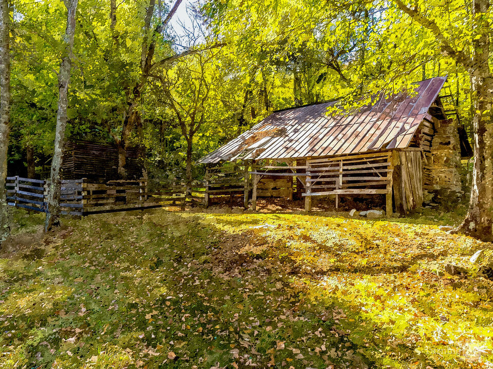 Boxley Valley Historic District Barn Painterly