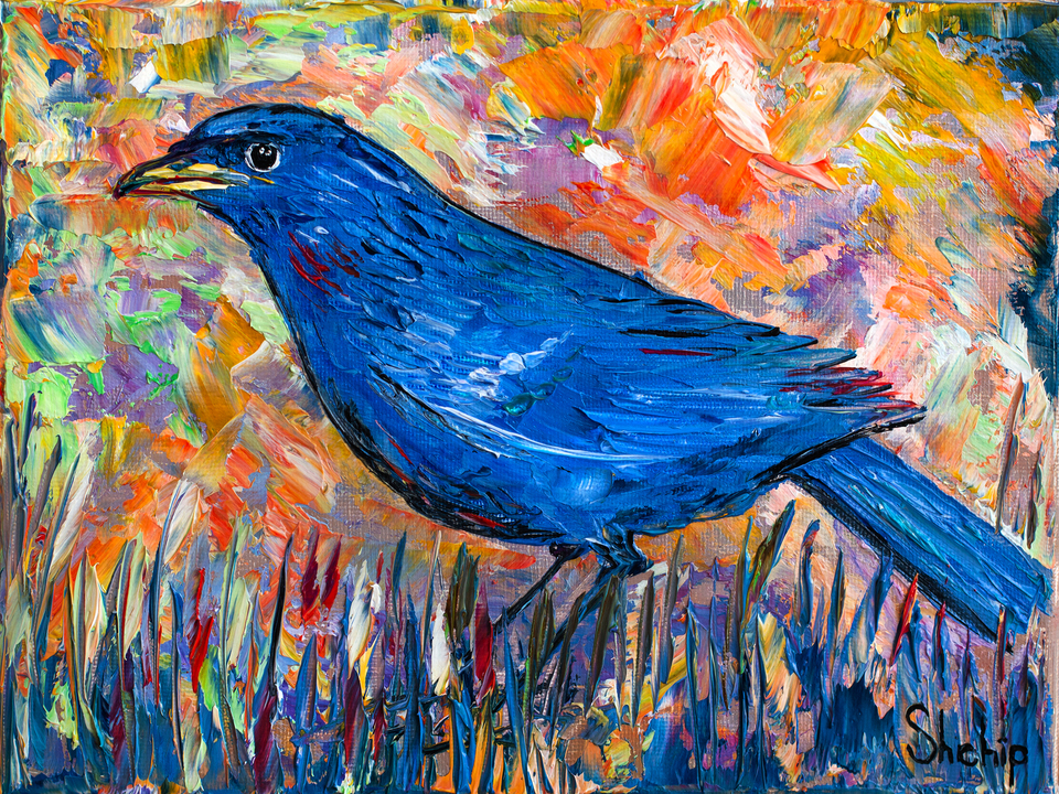 Blue Bird in the Meadow 