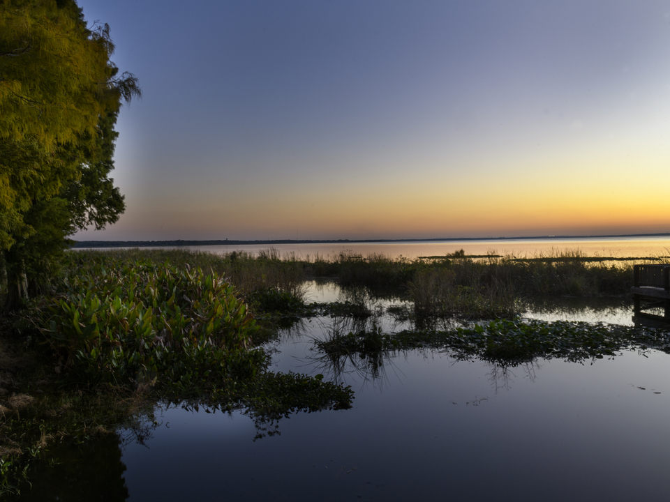 Sunset at Lake Apopka