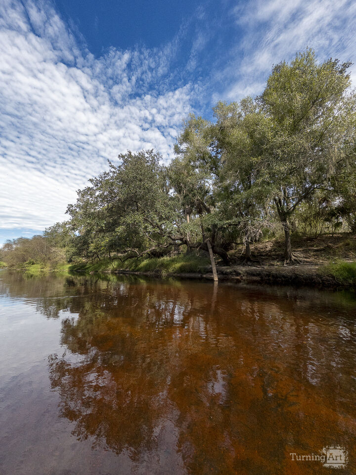 Reflections in the Peace River