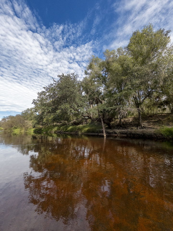 Reflections in the Peace River