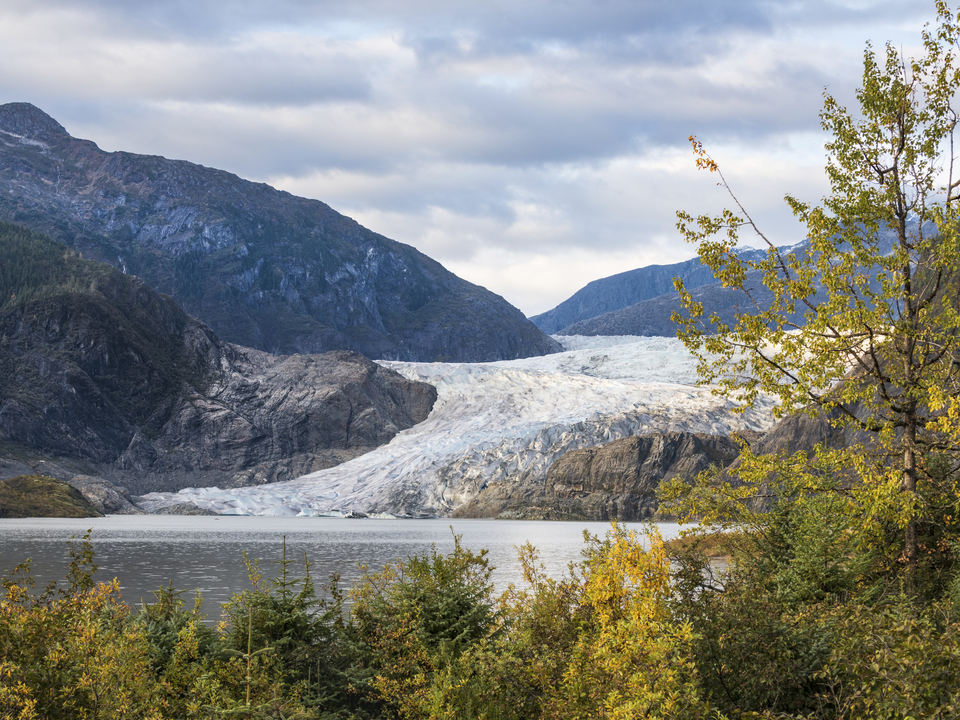 Mendenhall Glacier