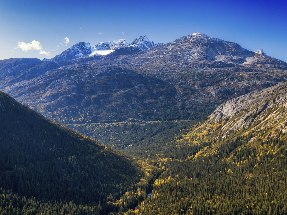 Autumn Alaskan landscape