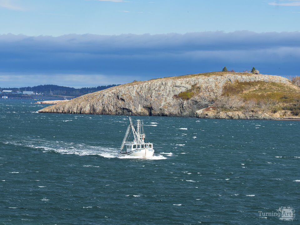 Port life in the northeast