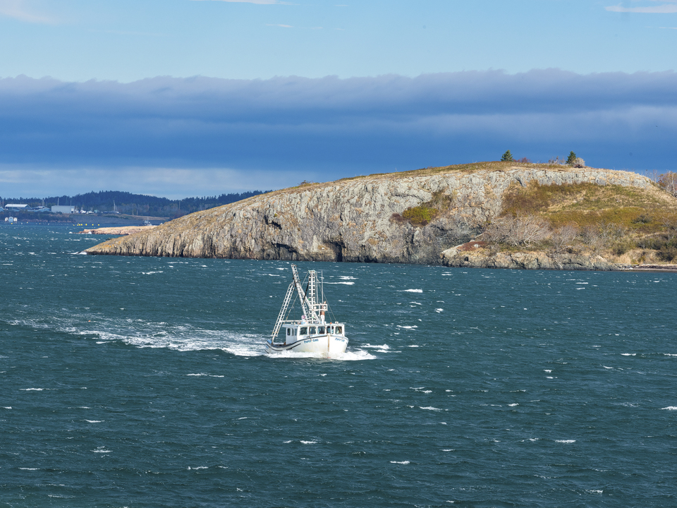 Port life in the northeast