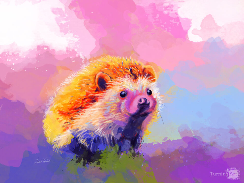 Sweet Hedgehog