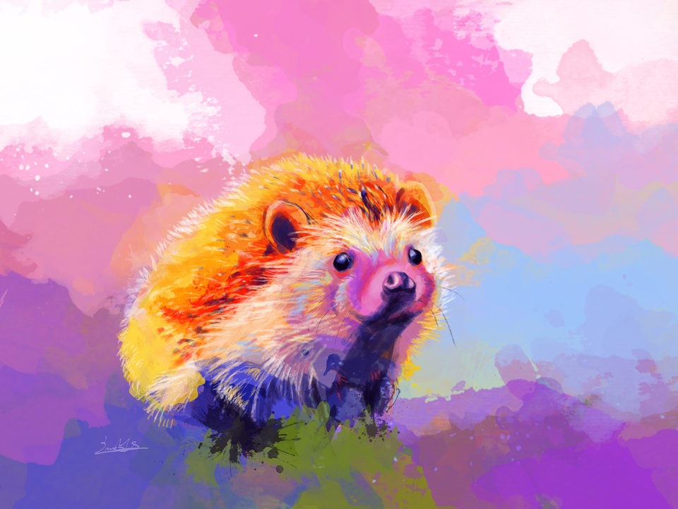 Sweet Hedgehog