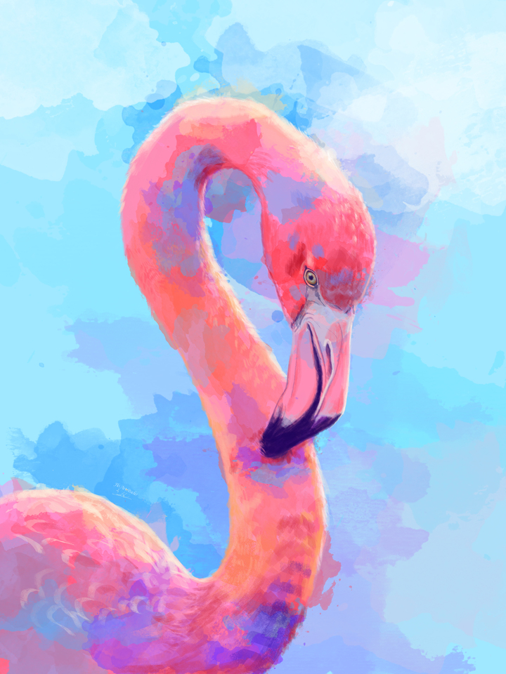 Flamingo Dream