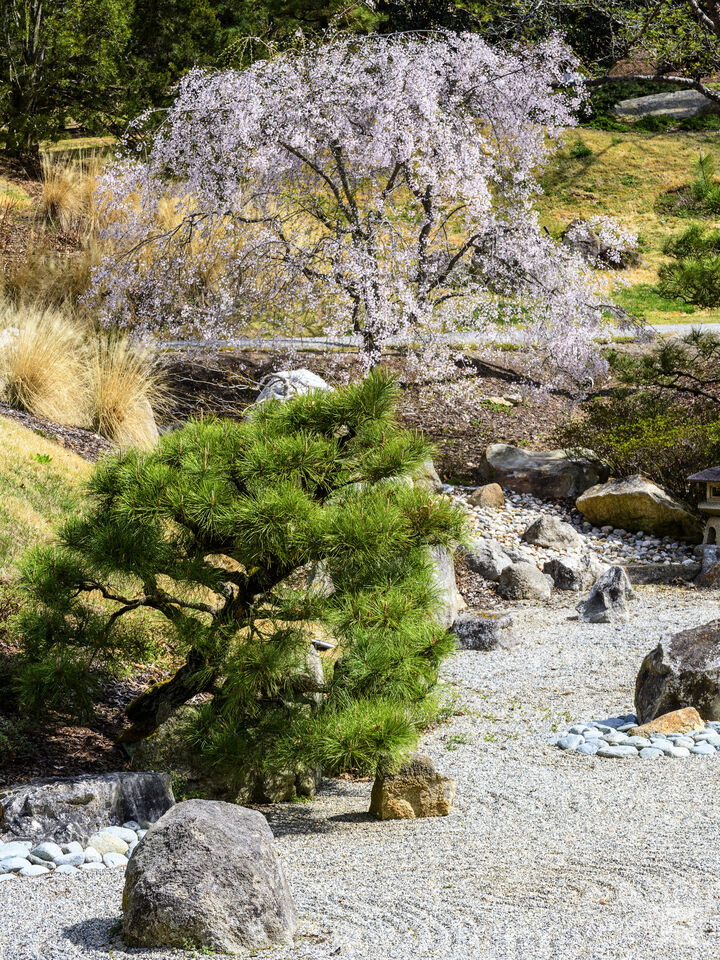 Japanese Gardens