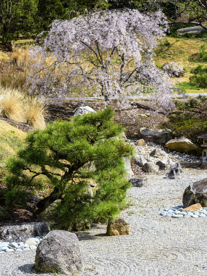 Japanese Gardens