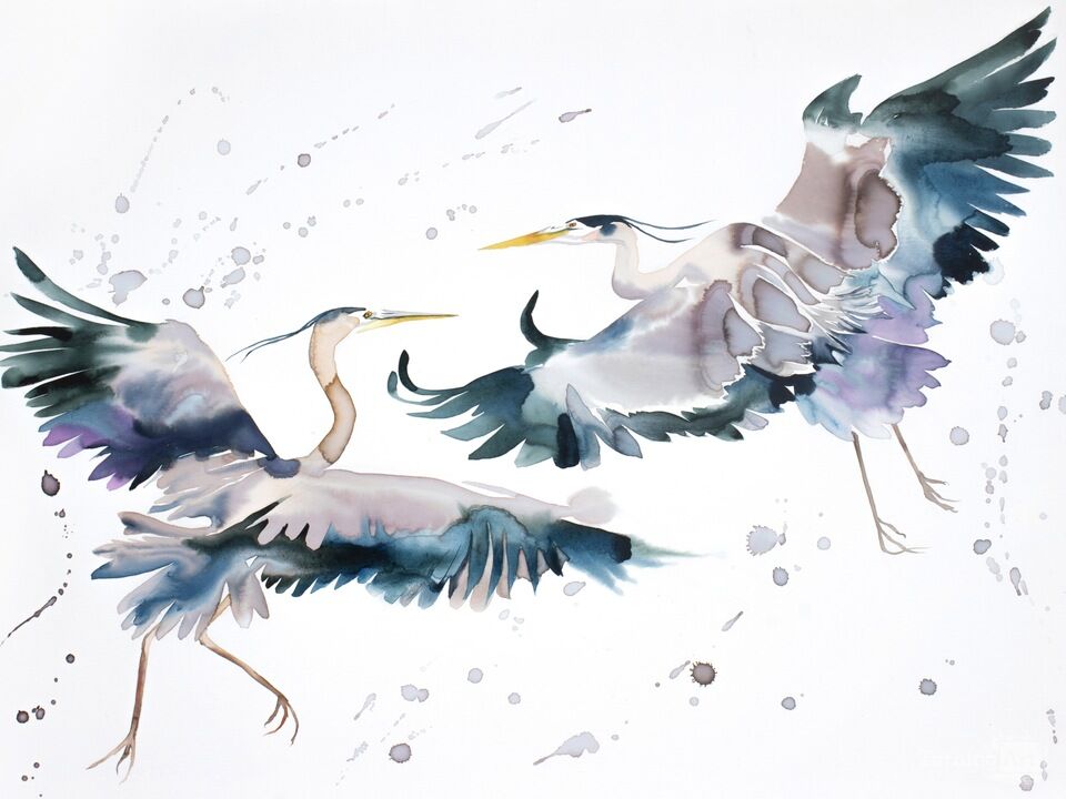Herons in Flight No. 8