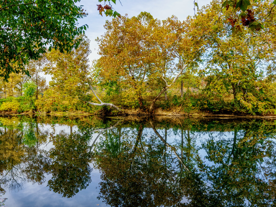 Autumn Reflections Along Niangua River