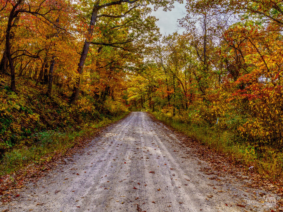 Gravel Road Through Autumn