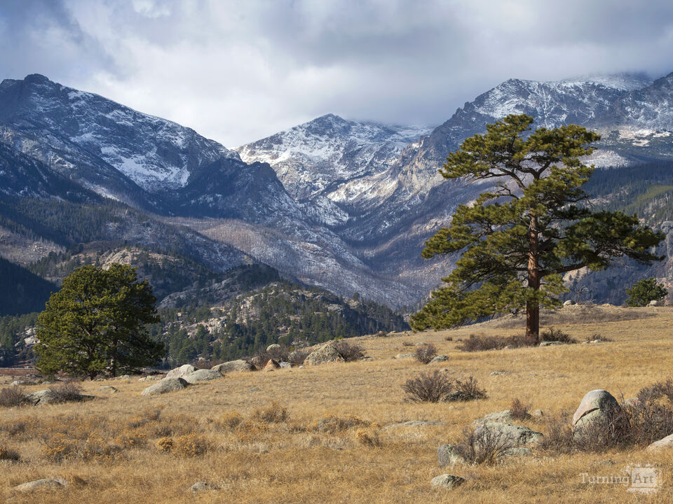 Winter arrives in Moraine Park