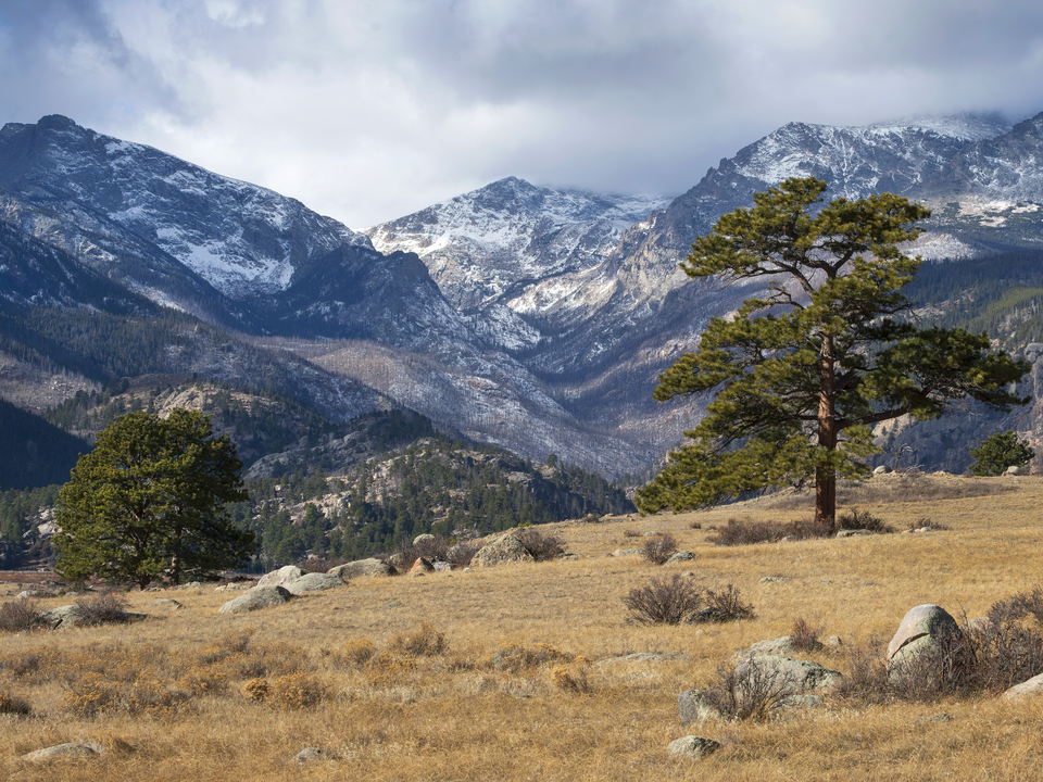 Winter arrives in Moraine Park