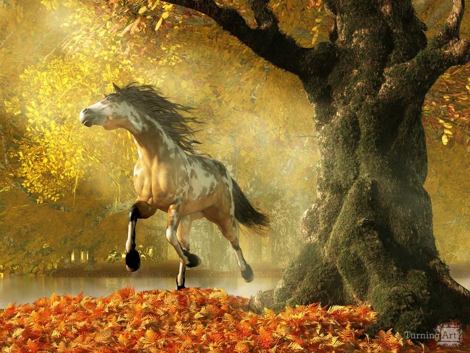 Mustang Autumn