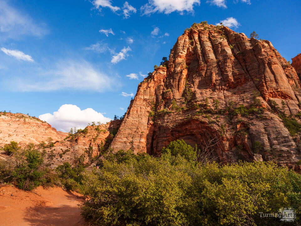 Zion Mountains In The Golden Sunlight