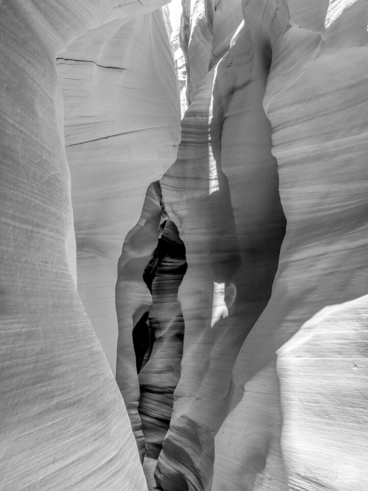 Rock Slot Canyon Radiance Page Arizona Grayscale