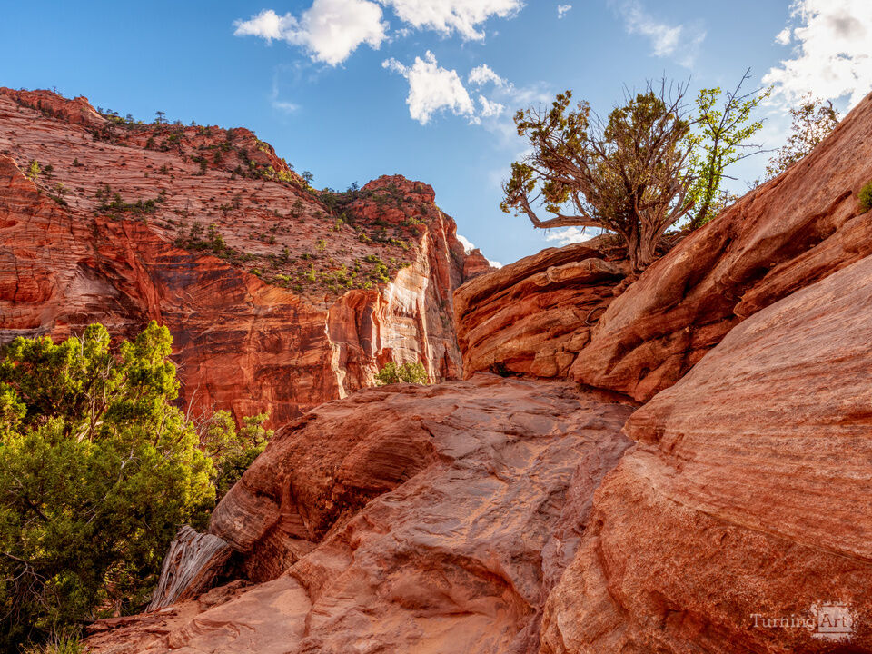 Beauty Of Zion Rock Formations