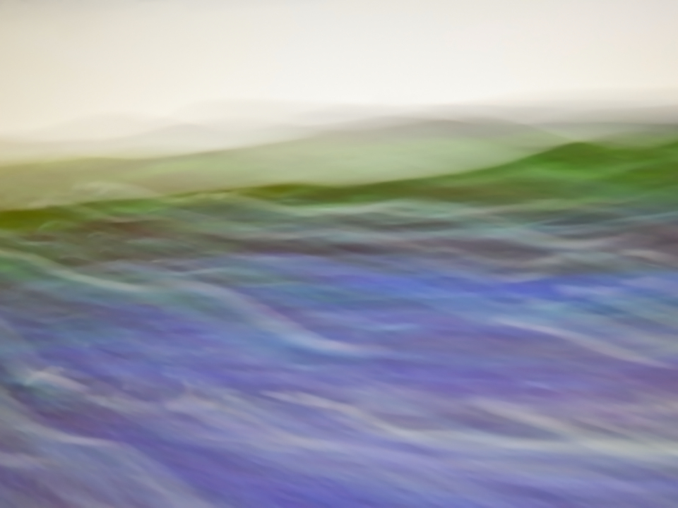 Moved Landscape 1505