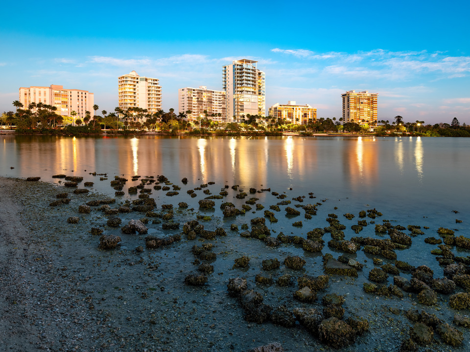 Sarasota skyline