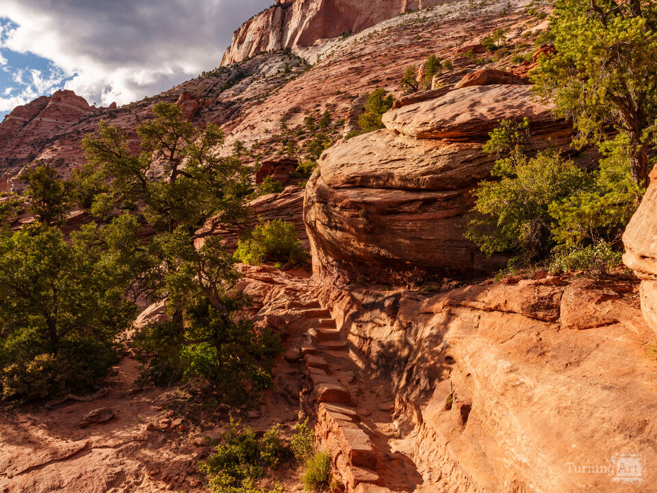 Zion Sunlight Guides The Trail