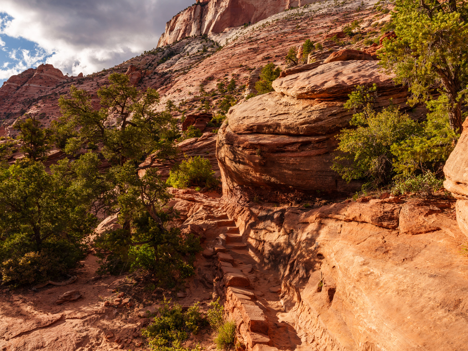 Zion Sunlight Guides The Trail