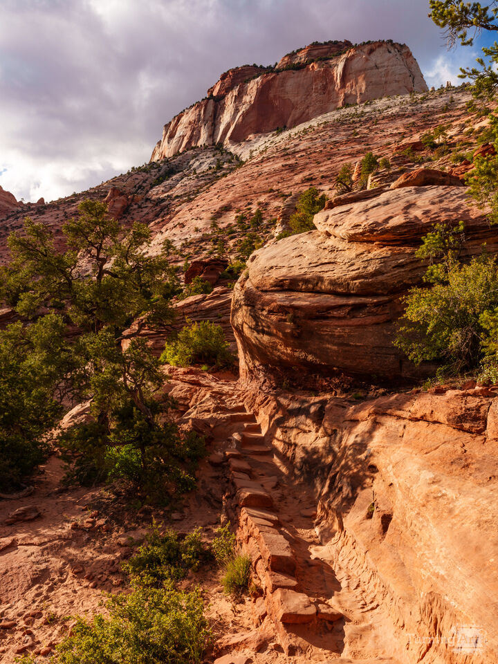 Trail Along Zion Mountain Cliffs