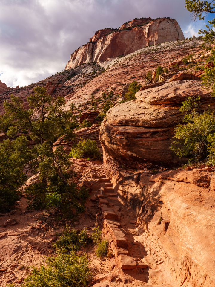 Trail Along Zion Mountain Cliffs