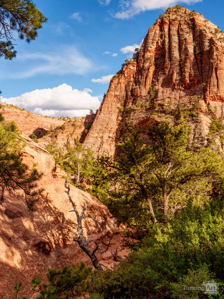Zion Sunlit Cliffs Along Overlook Trail