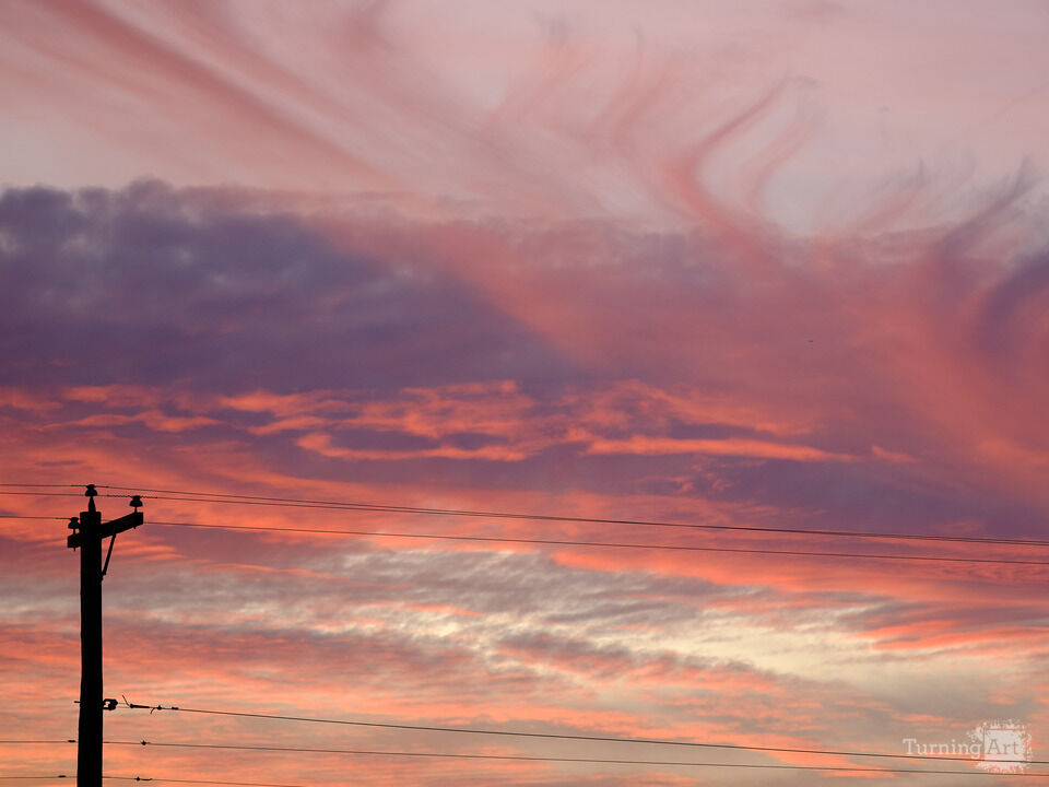 Sunset on the Wires