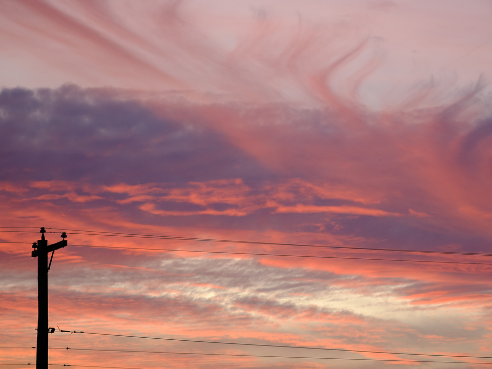 Sunset on the Wires